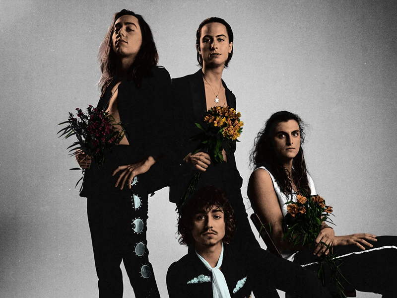 Greta Van Fleet at Spectrum Center